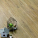 parchet lvt-pvc Alsapan Classic S. Light Brown